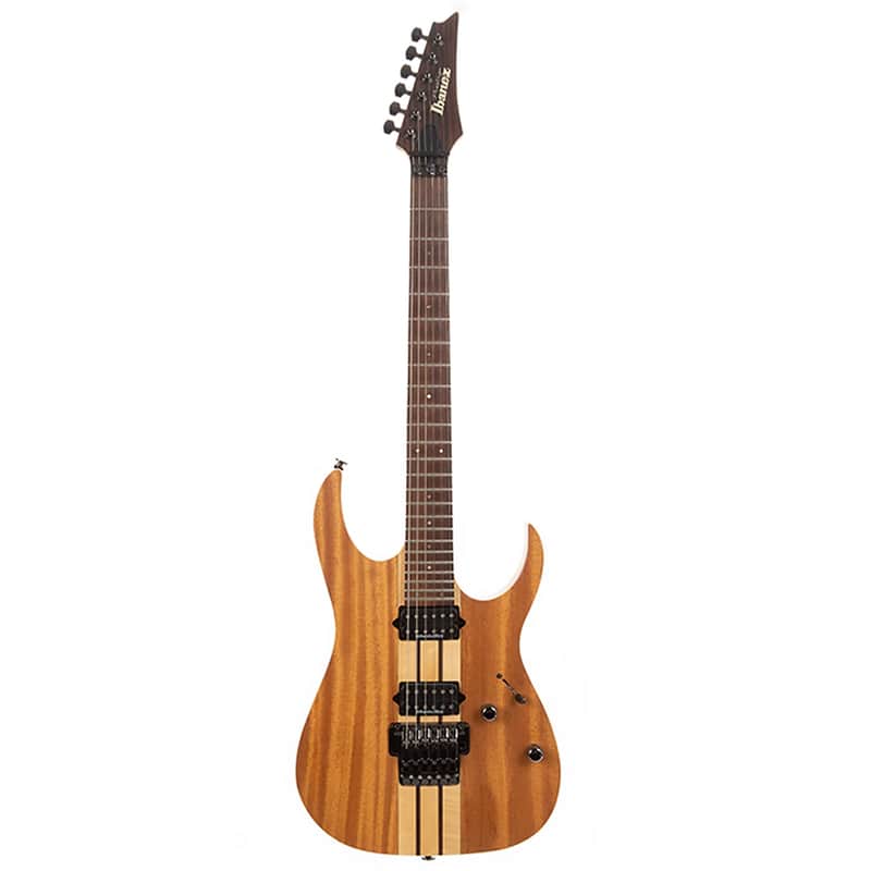 Ibanez RGT220H Prestige image 1