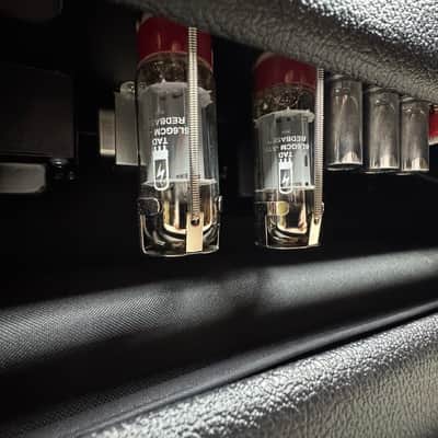 Amplified Nation PF 50W Phoenix Fury 50 Watt Tube Guitar Amplifier Head 2025 - Local Pickup Only image 12