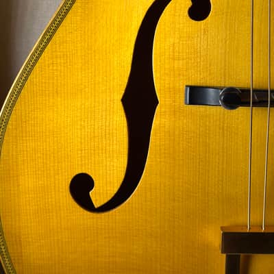 Bozo Podunavac 17" Acoustic Archtop with Calton Case image 5