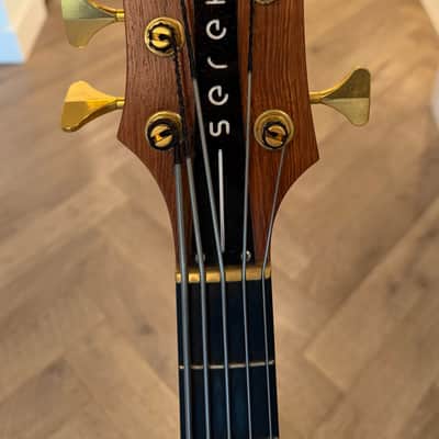 Serek Metropolis 5 String image 4