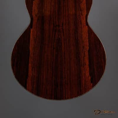 2019 Ryan Signature Series Nightingale, Brazilian Rosewood/Sinker Redwood image 7