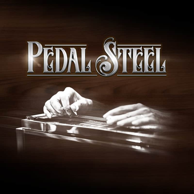 Impact Soundworks Pedal Steel image 1