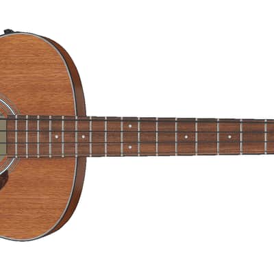 Ibanez Performance Series Acoustic/Electric Bass - Open Pore Natural image 1