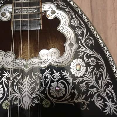 Greek Bouzouki & hardcase & pickup & 300 backing track with pdf scores 8 string image 3