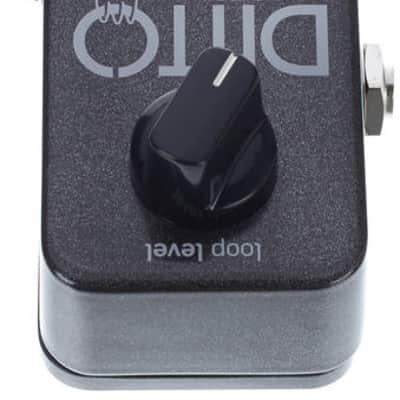 TC Electronic Ditto Looper image 4