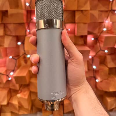 Beesneez Pro Audio Tribute 1 ( U47 Style ) image 3