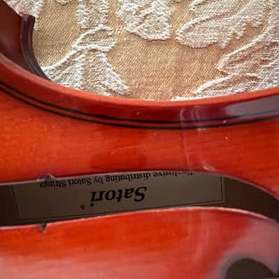 Satori Etude VN102 4/4 2005 - Polished Wood image 4
