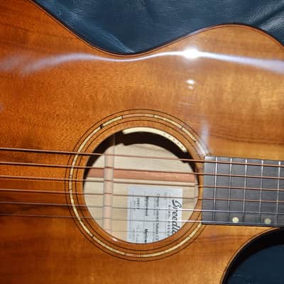 Breedlove Oregon Concert CE Sahara Limited Edition 2024 - Sahara image 7