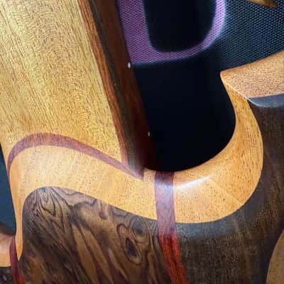 Carl Thompson 6 string Custom 3D scroll image 7