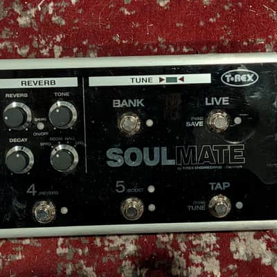 T-Rex Soulmate 2010s - Black image 3