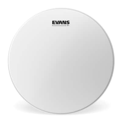 Evans ST Snare Drum Head, 13 Inch image 1