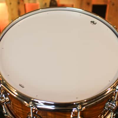DW 6.5x14 Collector's Maple 333 Almond Burst over Nyatoh Snare Drum - SO#1444620 image 4