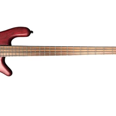 Spector USA Forte, *RARE* 2019 Trans Red Stain, Pau Ferro , USED In Excellent Condition, 8 LBS *IN STOCK* image 9
