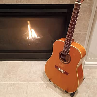 Share 1971 Goya (Levin) GG-5 "Goliath' 12-string guitar and case. Made in Sweden. image 1