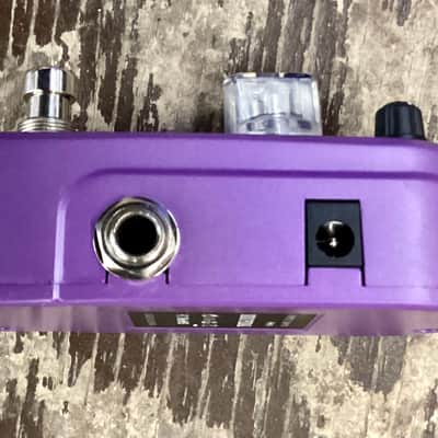 Azor Tremolo 2020 Purple image 3