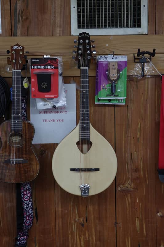 GOLD TONE Mandola 8-string viola style tuning MANDOLIN w/ BAG - Solid Top - B stock image 1