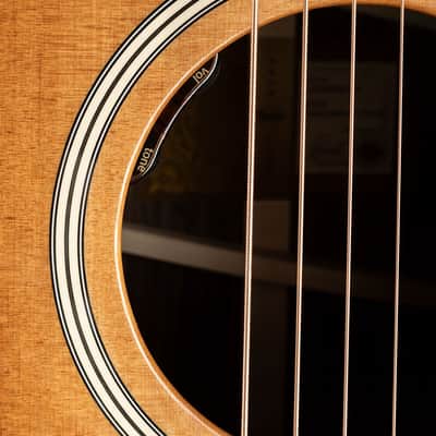 Taylor Gold Label 717e - Sunburst - Free Shipping image 9