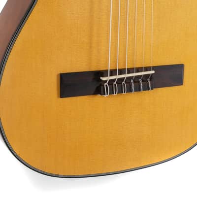 GEWA Student Classical Guitar 1/2, Natural Spruce (VG500110) image 5