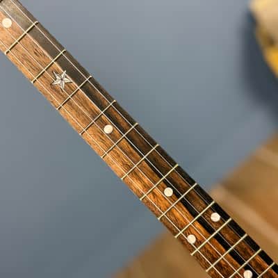 Custom Vega Senator 19-Fret Tenor Banjo with Fiberskin head, Vintage Star Hardware and Marbled Fretboard image 8