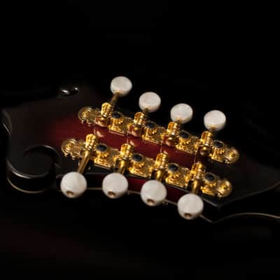 Washburn M3SWETWRK Americana Series Florentine F-Style 8-String Acoustic-Electric Mandolin w/Hard Case image 5