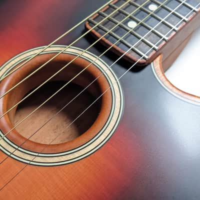 Fender Acoustason Telecaster image 5