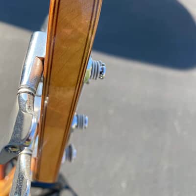 Alembic 5-String Spoiler Bass Guitar 1986 image 13
