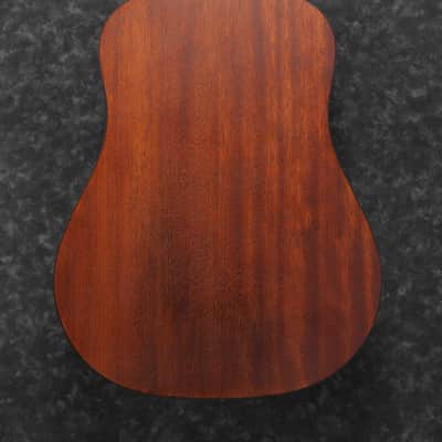 Ibanez AAD 100 OPN 2020 image 2