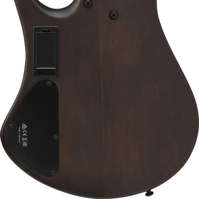 Ibanez EHB 600 wnf Bass Workshop EHB E-Bass 4-String - Walnut Flat image 2