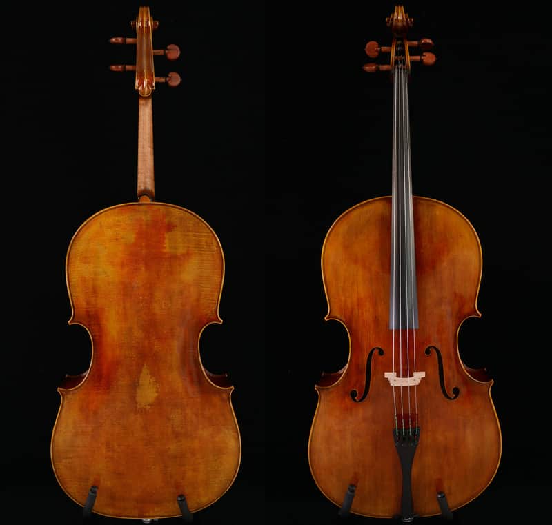 Finely Hand Made 4/4 Cello Montagnan Cello European Wood Hard Case No.W-028 image 1