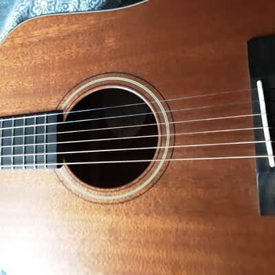 Breedlove Revival USA Custom Shop hog top Dread image 6