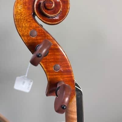 New Pietro Lombardi 502 16" Viola image 3