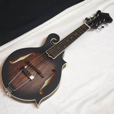 GOLD TONE F-6 F-style 6-string acoustic electric mandolin GUITAR w/ CASE new image 2