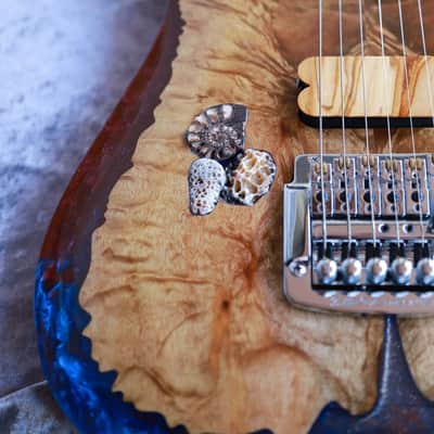 GB Liuteria Boutique Ergal 6 string Fossil edition image 15