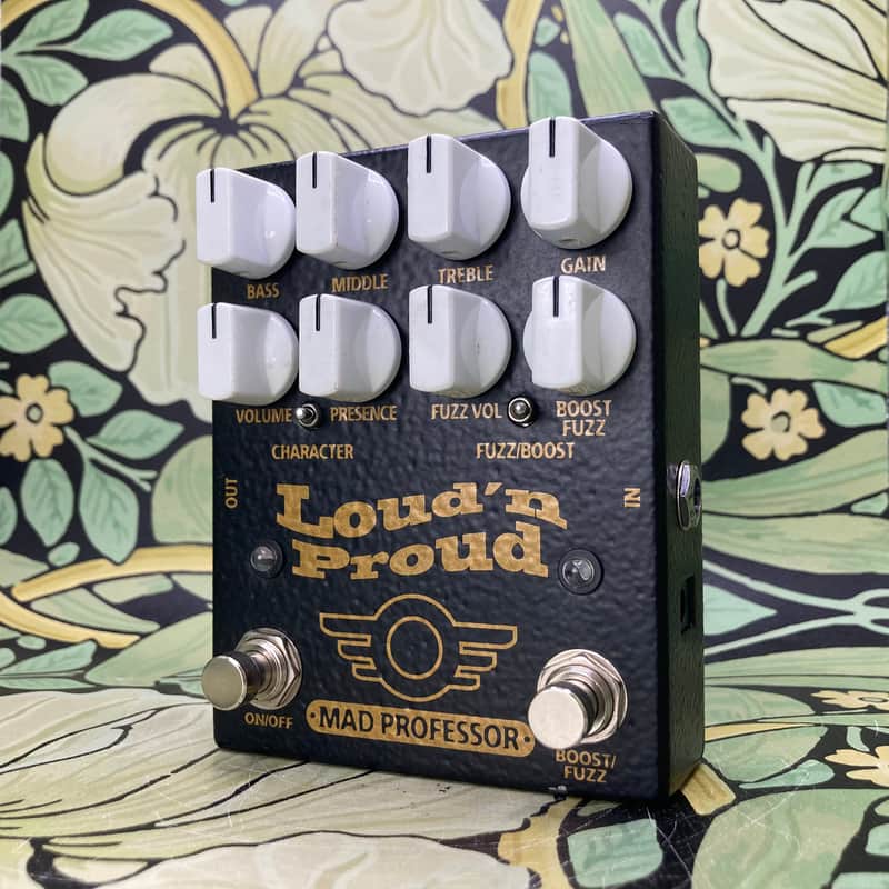 Mad Professor Loud N Proud image 1
