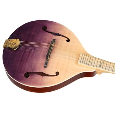 Ortega RMA200PF Americana Series A-Style Mandolin + Croco Leather Case image 18