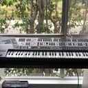 Roland JD-800