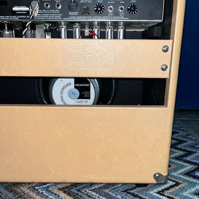 Rivera Fandango 55 1x12 Combo With Tuki Cover and Extras! image 9