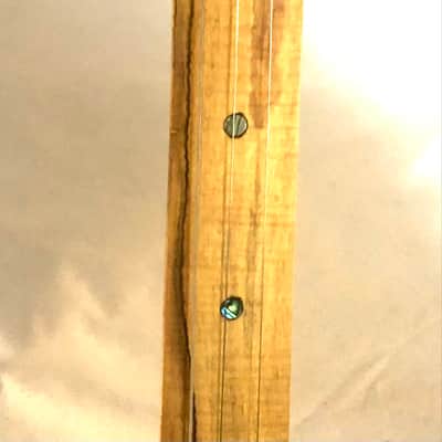 3 string Turtle shell slide guitar image 15