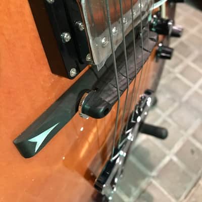 Guitarra de caja Fujigen FGN Masterfield Jazz HH Jazz Burst image 10