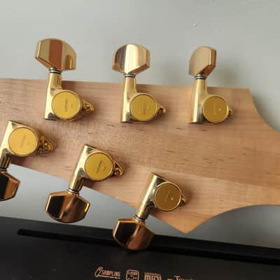 Ibanez AANJ RG/Jem USA Custom Built Rosewood Neck image 8