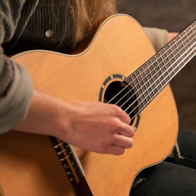 Ortega R122-7/8 Family Series Cedar Top Mahogany Neck 7/8-Size Nylon 6-String Classical Acoustic Guitar w/Gig Bag image 18