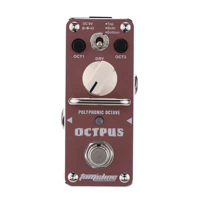 Tomsline Octpus