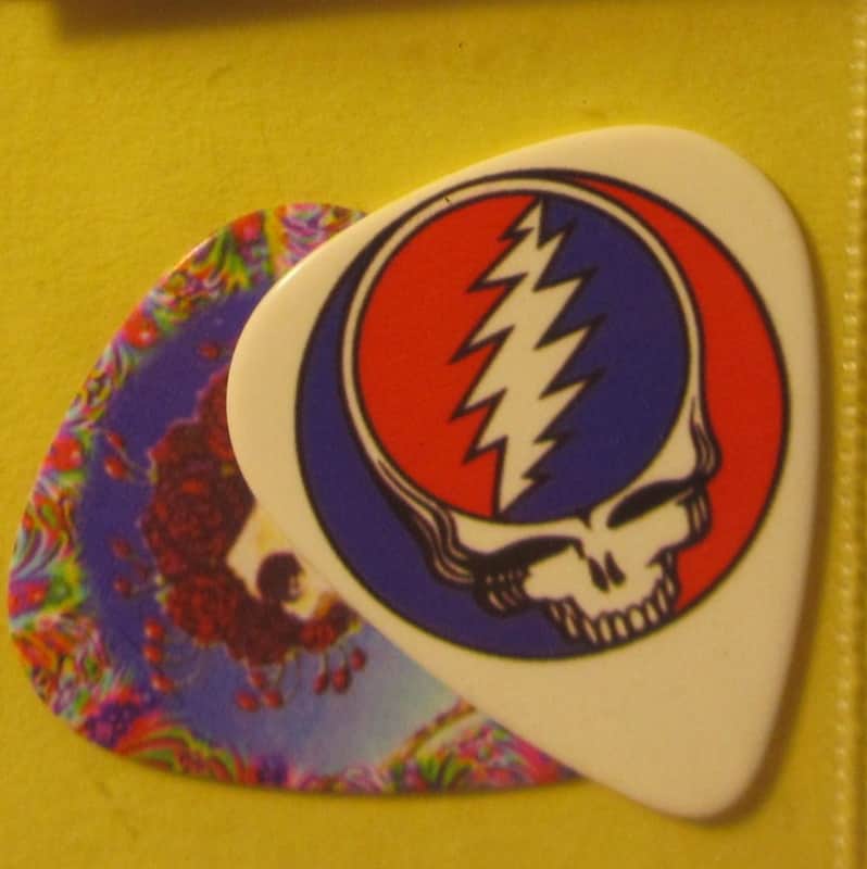 Grateful Dead Guitar Picks - 2 Pack; Steal Your Face & Bertha; Medium .7mm; Printed Fierce Picks image 1