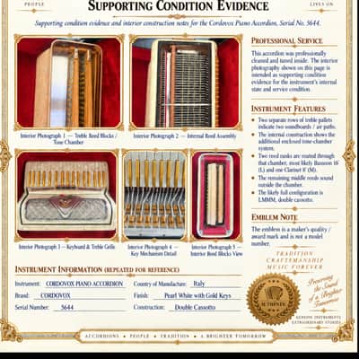 Accordion DEGA Dyna "Fiori D'Oro" 1960-1970 - Tone Chamber/ Cassotto image 3