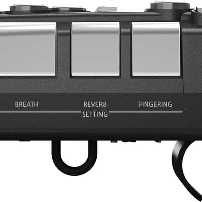 Mint Roland AE-05 Explore the Inspirational World of Wind Instruments with AEROPHONE GO image 9