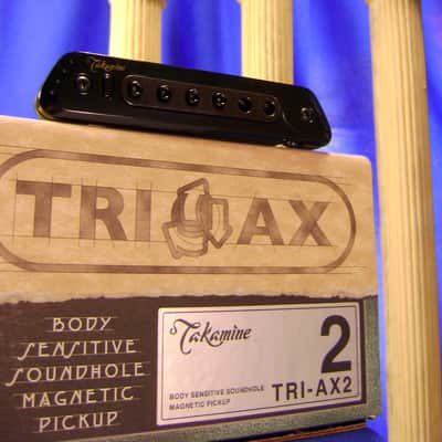 Takamine TRI-AX 2 Acoustic Guitar Pickup CTP1 CTP2 CTP3 CT4DX Modified L R Baggs M80 image 1
