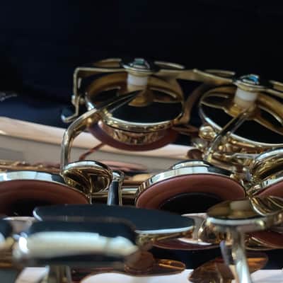 Yanagisawa Model AWO2 Professional Alto Sax (USED/Demo) image 7
