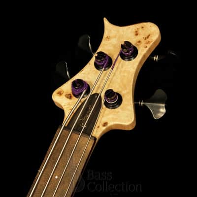 Stradi Symphony 4 Fretless - Earth - image 9