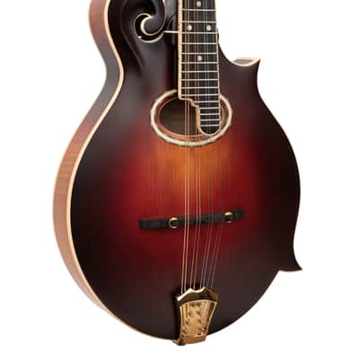 Gold Tone GM-80 F-Style Mandolin with Case image 1