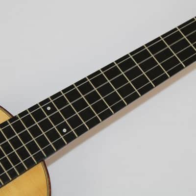 Augustino LoPrinzi EM/S-C Custom Concert Ukulele image 8